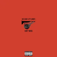 Vic Sage — Can't Miss (Feat. Ty James) — обложка